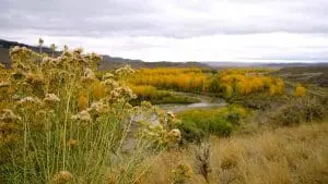 grasslands