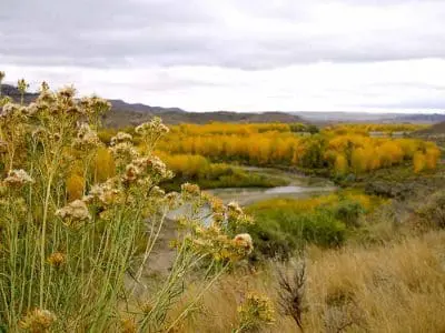 grasslands