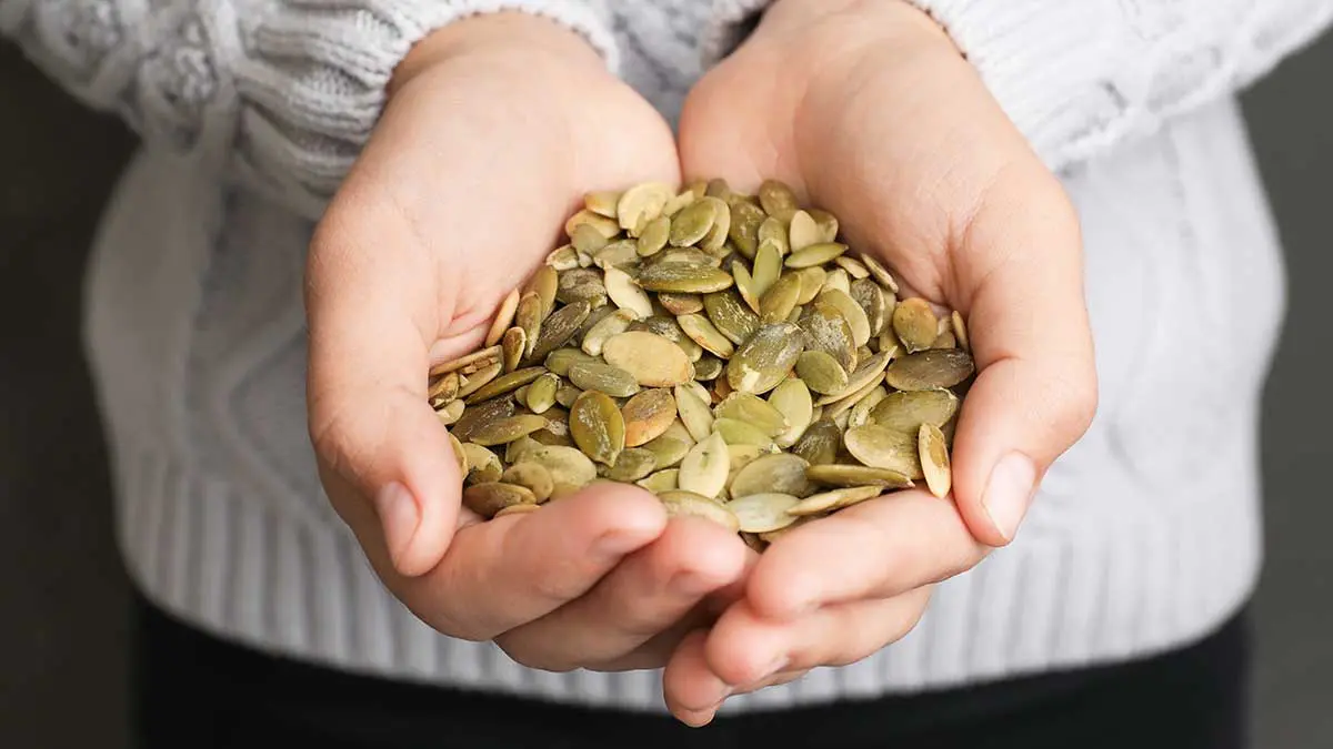 pumpkin seeds