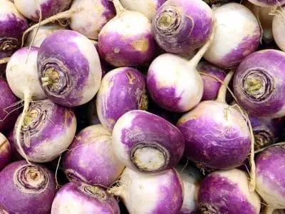 turnip