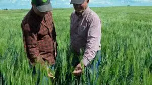 4R-Nutrient-Stewardship-1