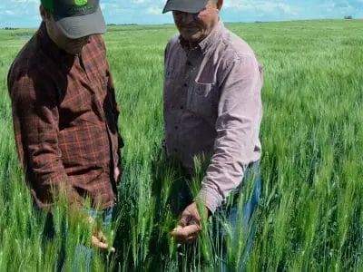 4R-Nutrient-Stewardship-1