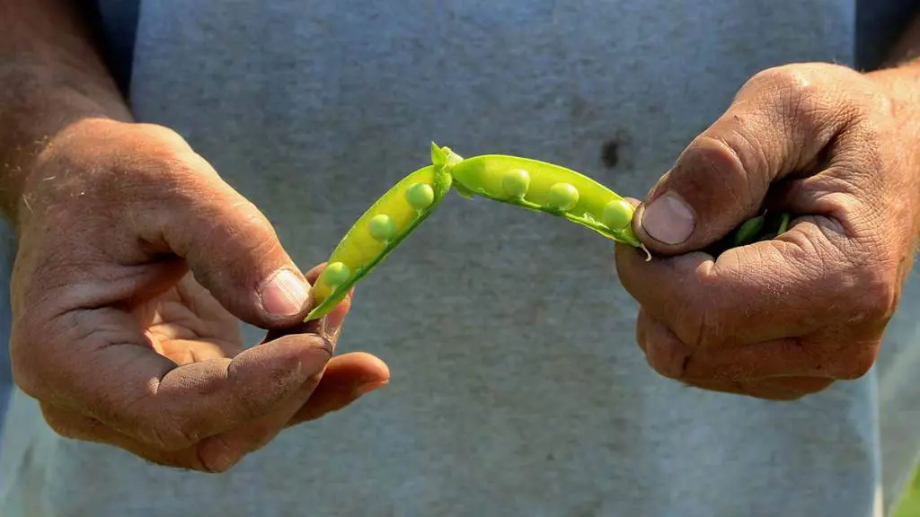 4R-Nutrient-Stewardship-2