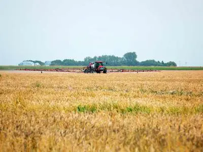 pesticide