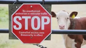 farm biosecurity