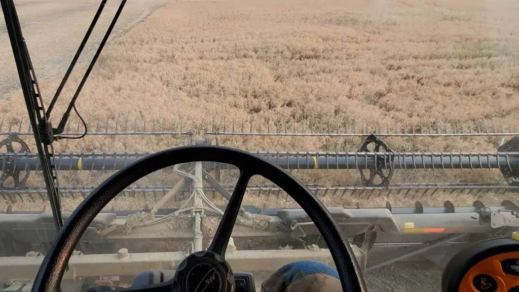 flex-header-harvesting-peas