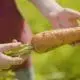 origin carrot