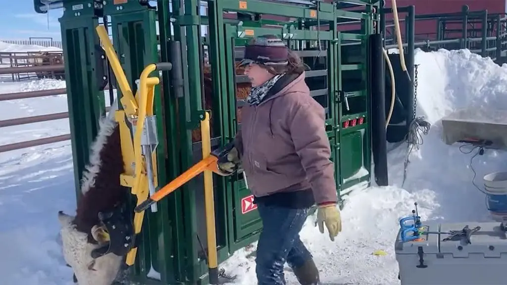 safe-canadian-grown-food