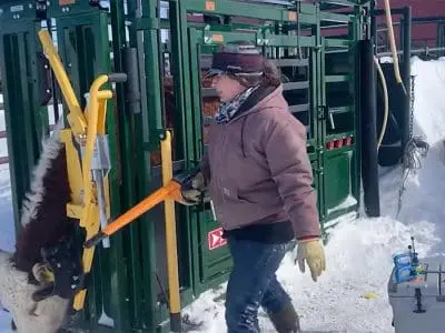 safe canadian grown food