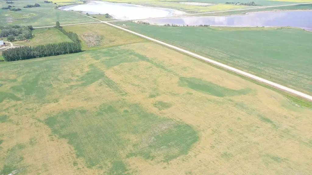 crop-water-use