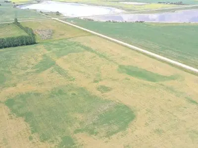 crop water use
