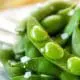 soy edamame bean