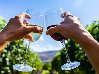 red and white wine