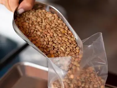 pouring lentils