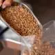 pouring lentils