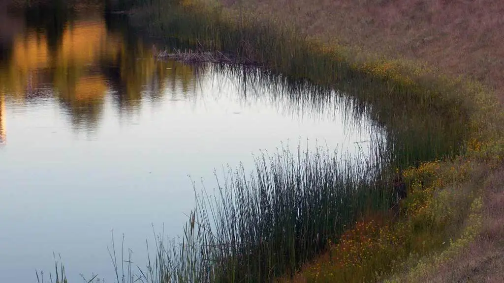 water-dugout