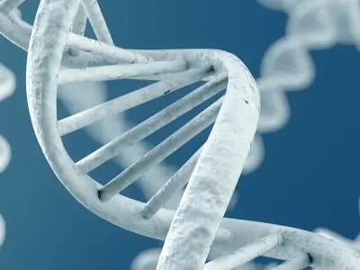 double helix dna