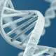 double helix dna