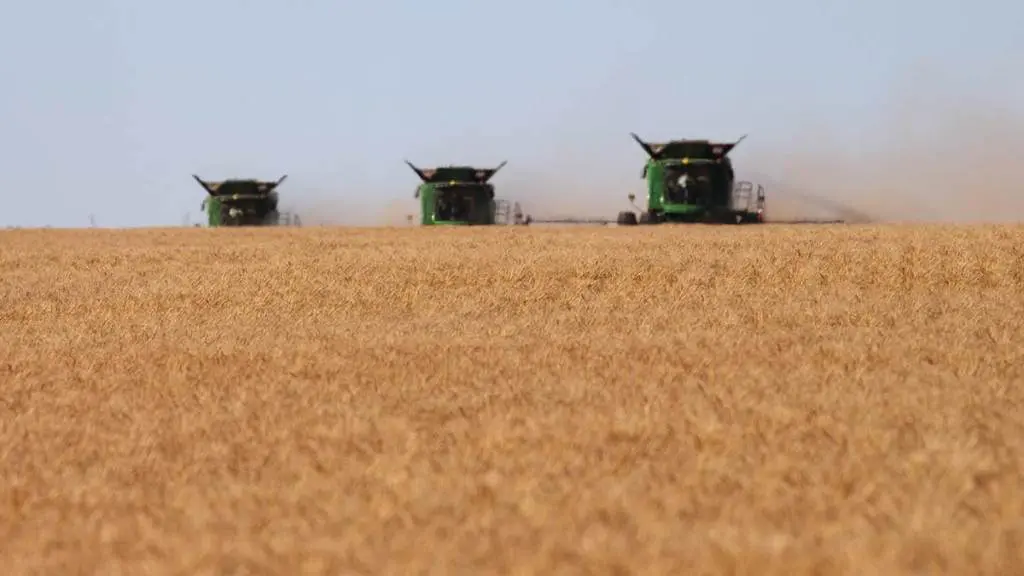 modern-wheat-harvest