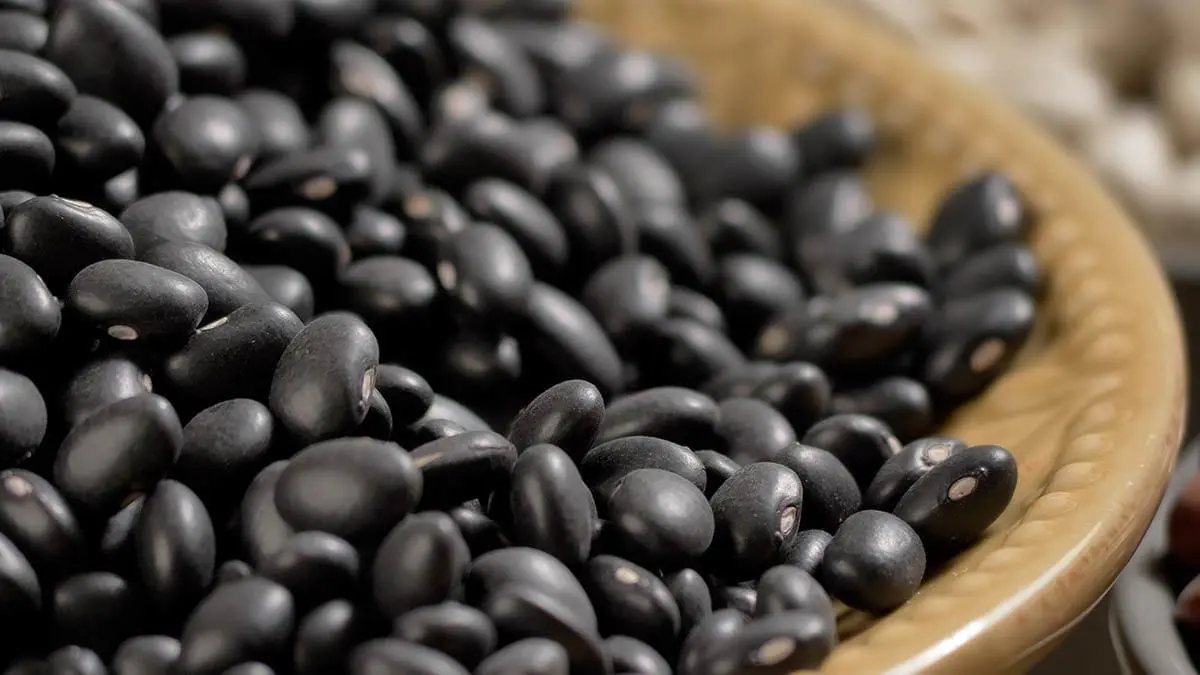 dry black beans