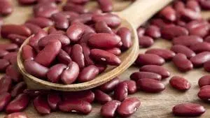 dry kidney beans