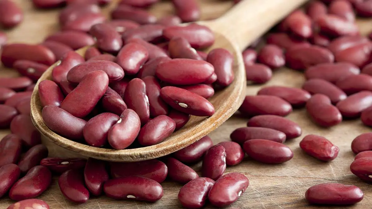 dry kidney beans