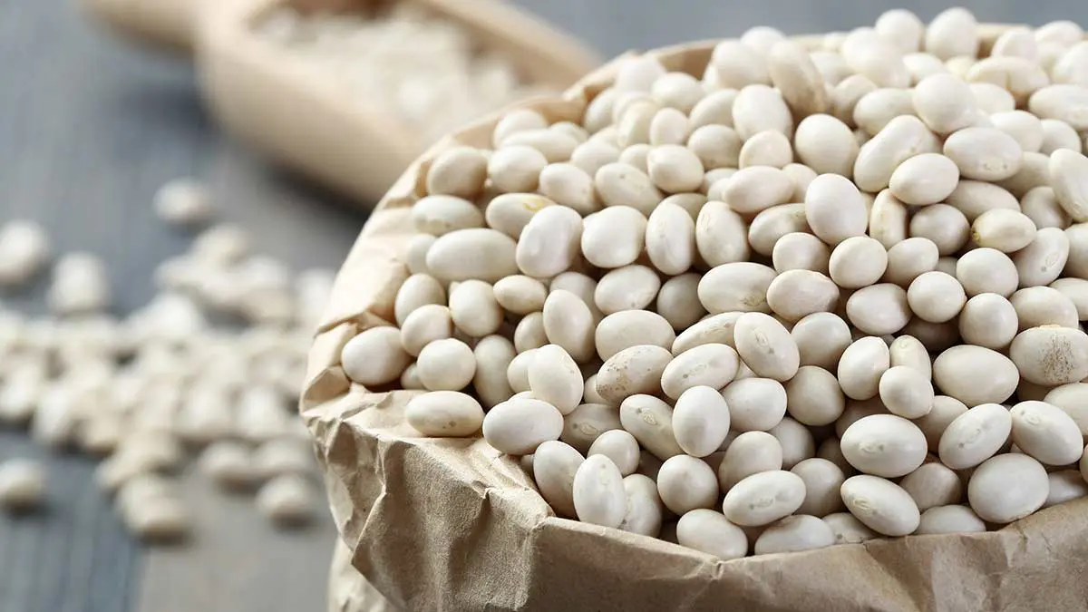 dry navy beans