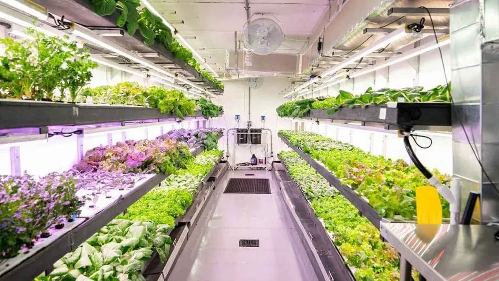 modular-farming2