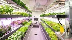 modular-farming2