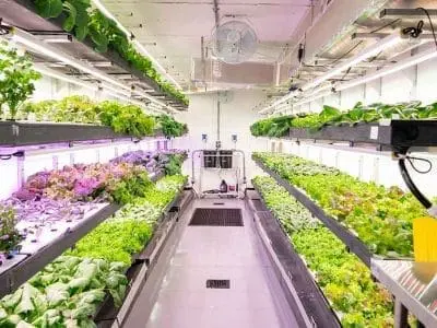 modular-farming2