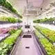 modular-farming2