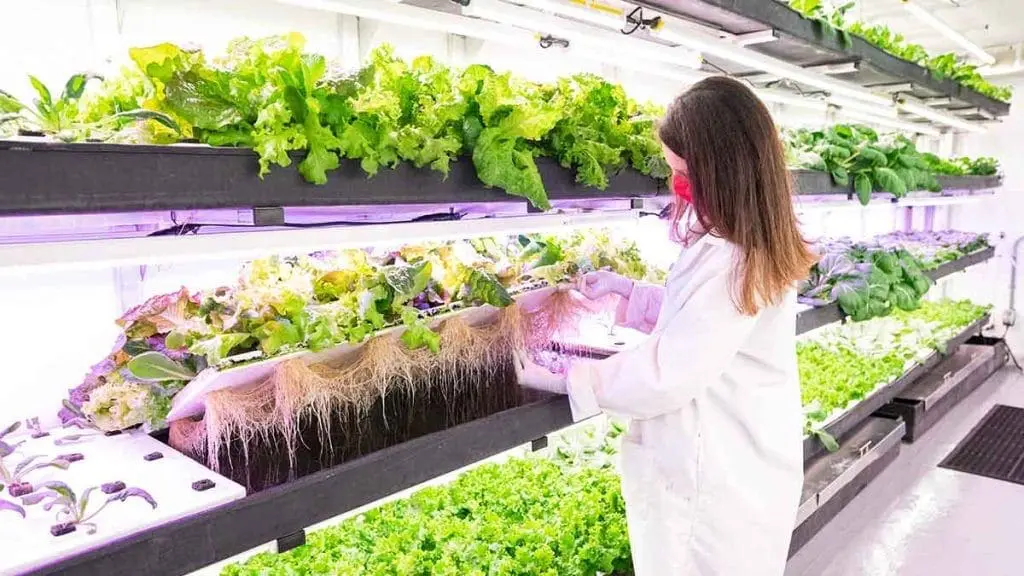 Modular-farming