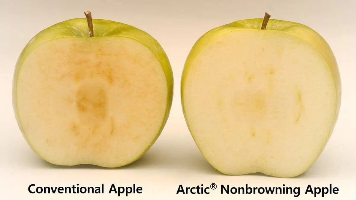 browning comparison