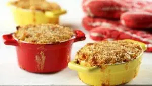 creamy-mac-and-cheese