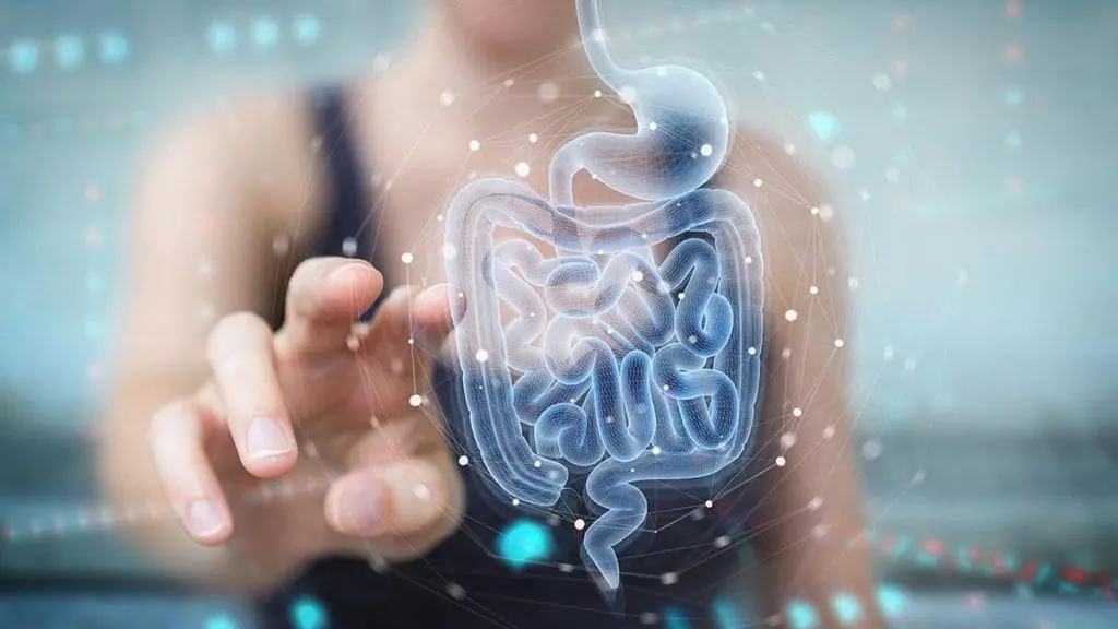 healthy-gut
