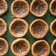 Butter-Tarts-1