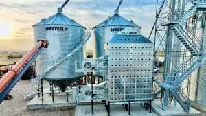 Grain-dryer-AGI