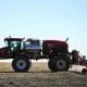 glyphosate