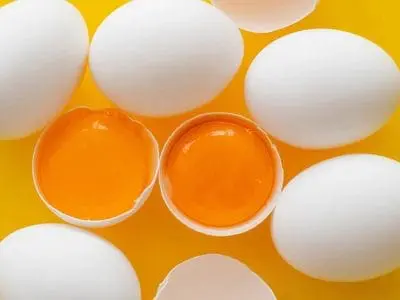 Egg-Yoks