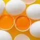 Egg-Yoks