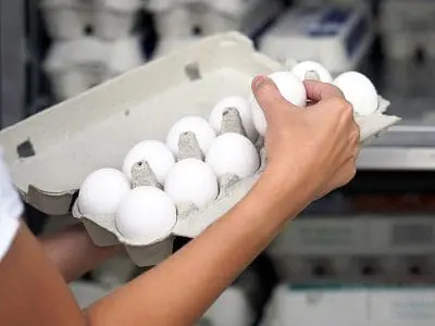 eggs