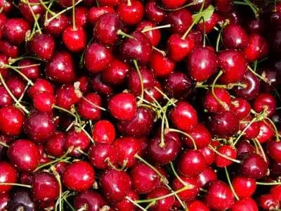 cherries with stems