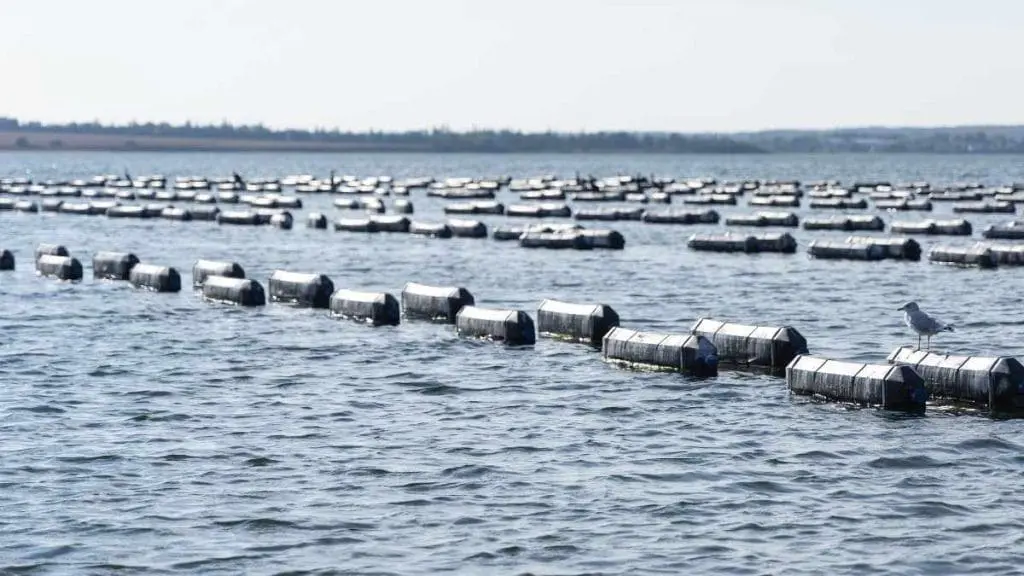 Floating cages
