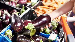 Buying-Eggplant