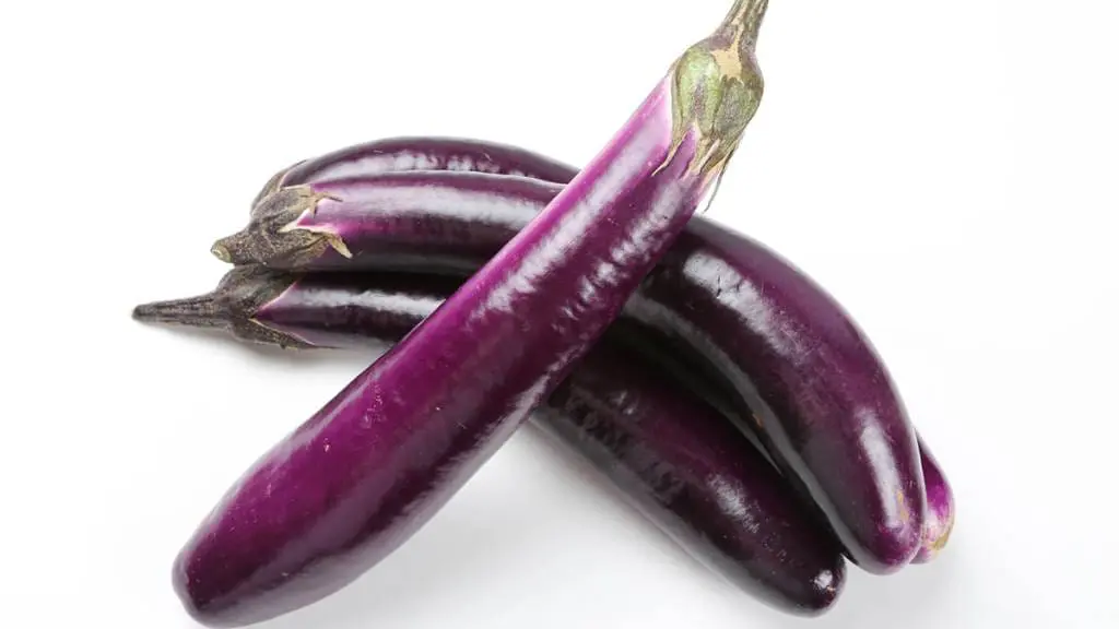 Chinese-Eggplant