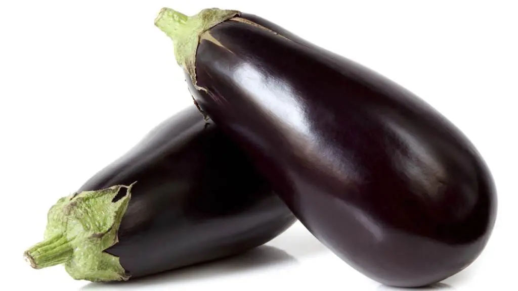 Globe-Eggplant