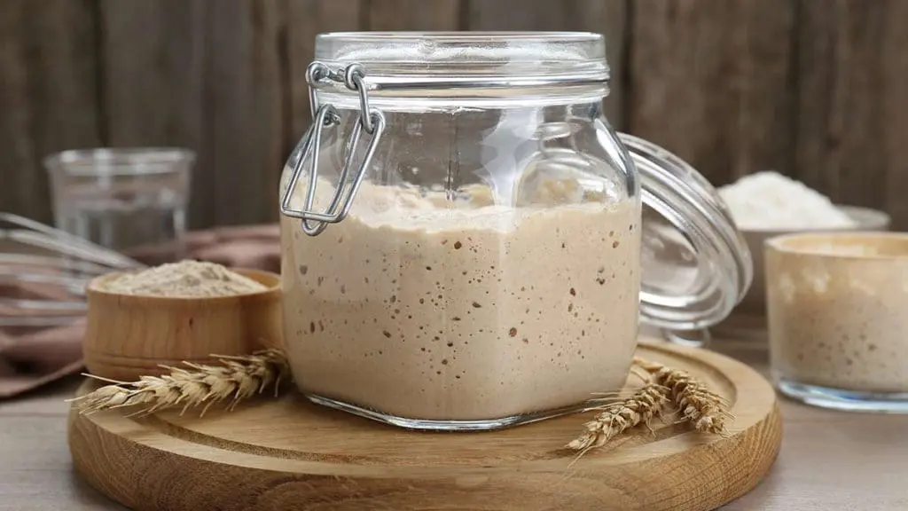 Sourdough-fermented-foods