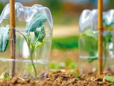 Cloches