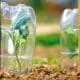 Cloches
