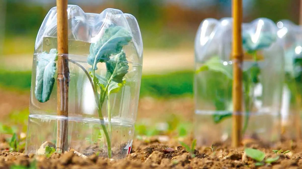 Cloches